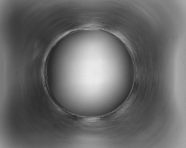X0000089681486200707051557