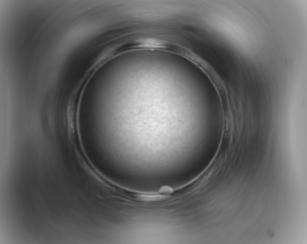 X0000089681487200707051557