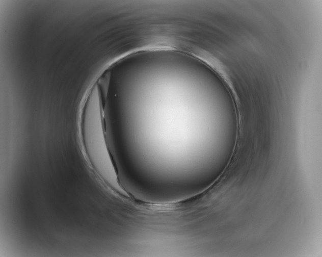 X0000089681488200707051557