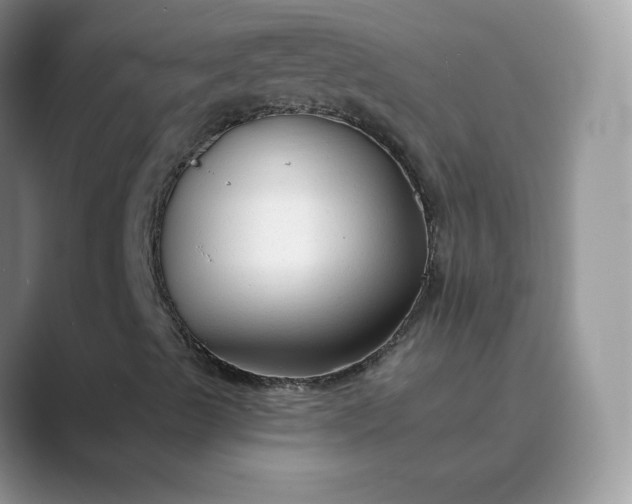 X0000089681489200707051557