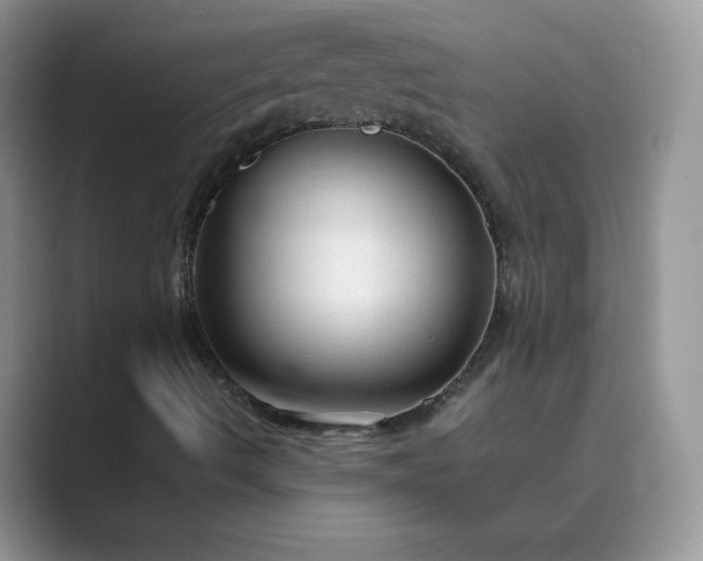 X0000089681490200707051557