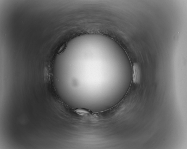 X0000089681491200707051557