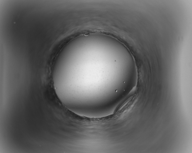 X0000089681494200707051557