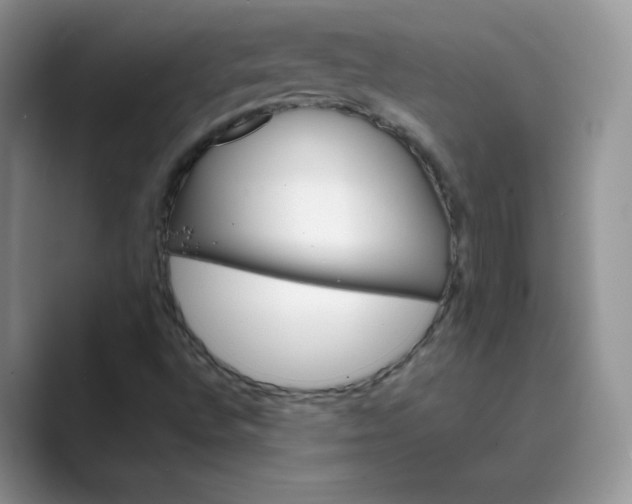 X0000089681496200707051557
