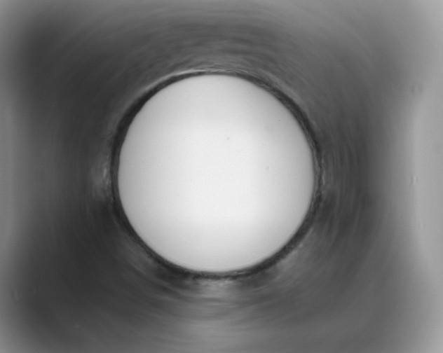 X0000089681498200707051557