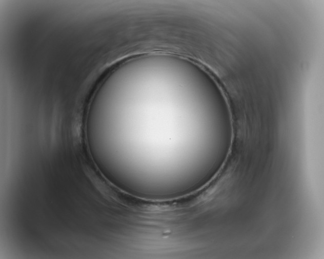 X0000089681499200707051557