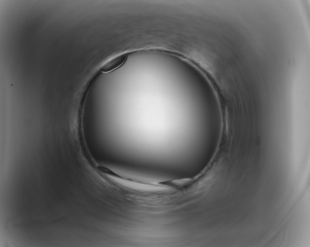X0000089681500200707051557