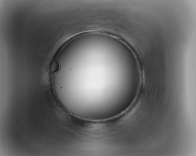 X0000089681501200707051557