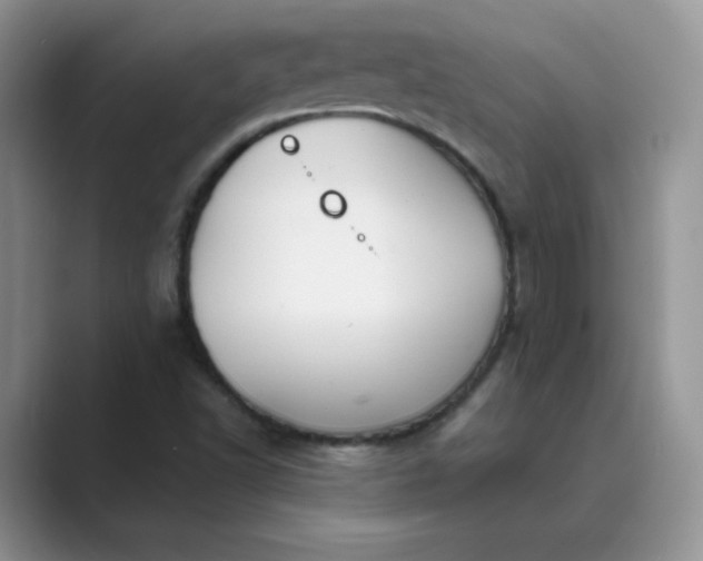 X0000089681502200707051557