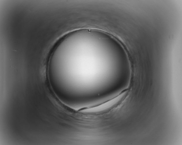 X0000089681503200707051557