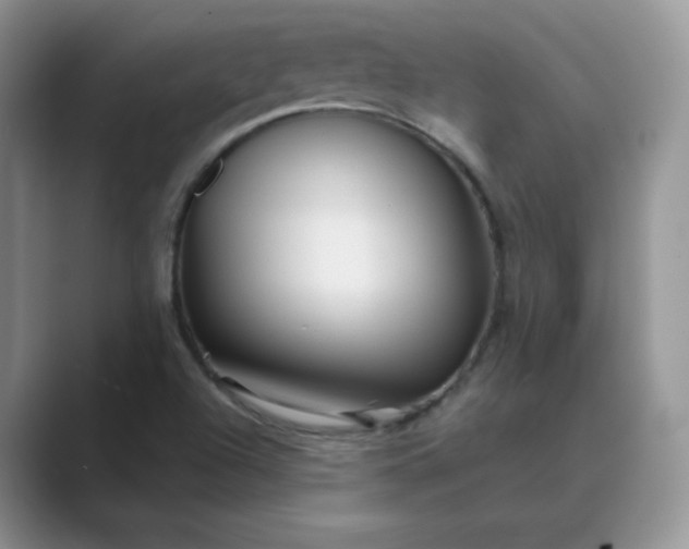 X0000089681504200707051557