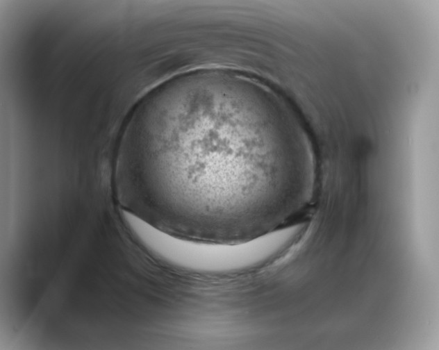 X0000089681505200707051557