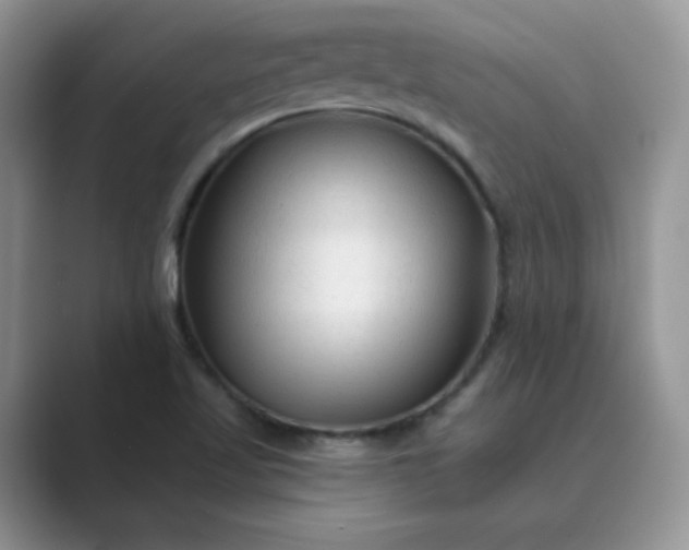 X0000089681509200707051557