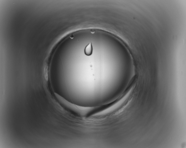X0000089681510200707051557
