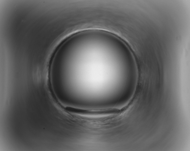 X0000089681511200707051557