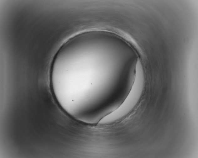 X0000089681512200707051557