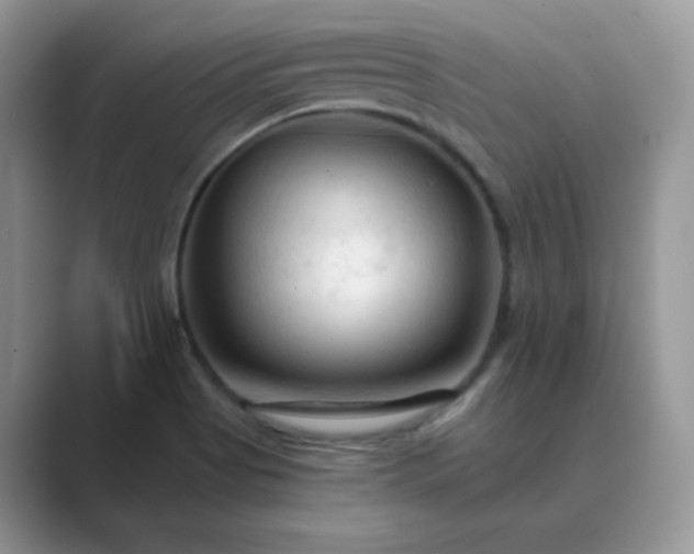 X0000089681513200707051557