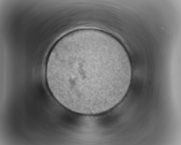 X0000089681514200707051557