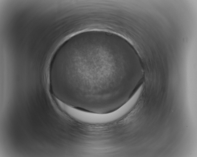 X0000089681515200707051557
