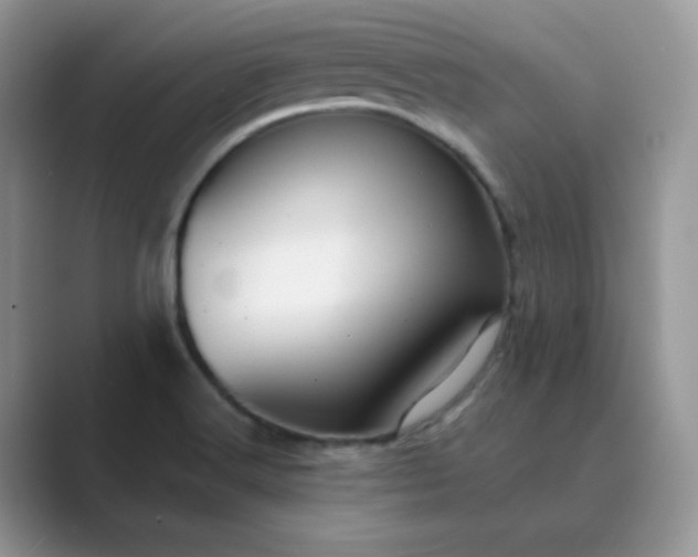 X0000089681516200707051557