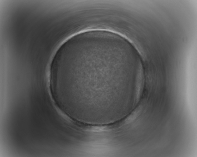 X0000089681519200707051557