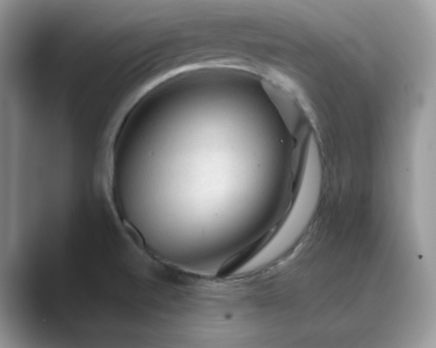 X0000089681520200707051557
