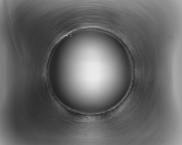 X0000089681521200707051557