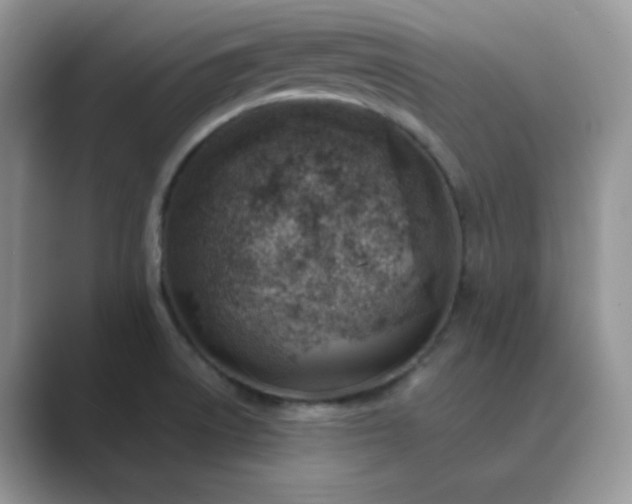X0000089681522200707051557