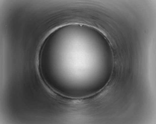 X0000089681523200707051557