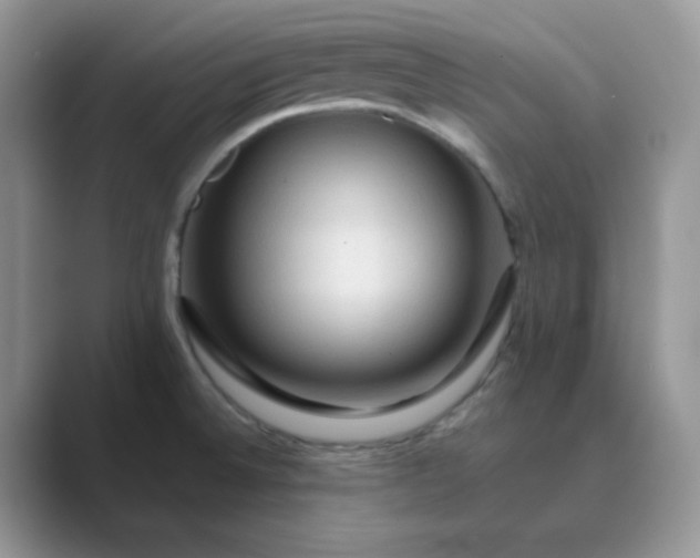 X0000089681524200707051557