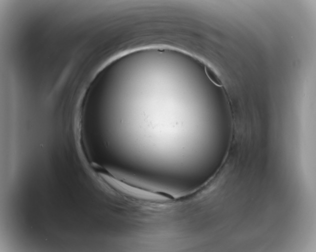 X0000089681526200707051557