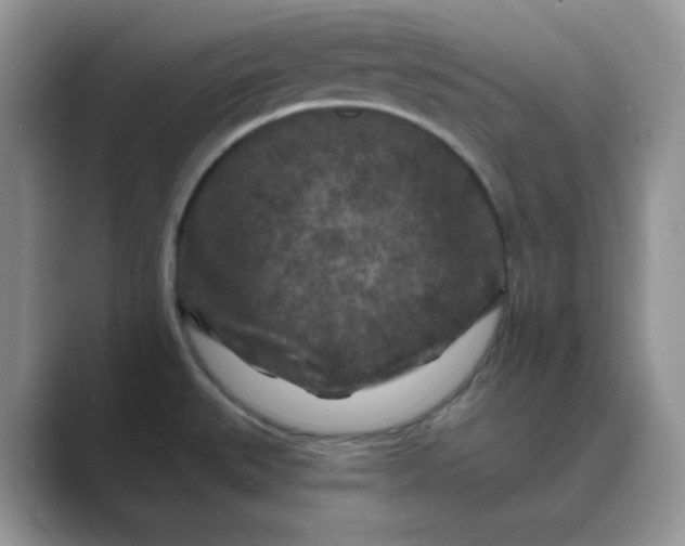 X0000089681527200707051557