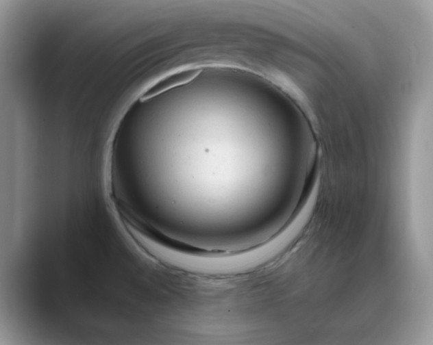 X0000089681528200707051557