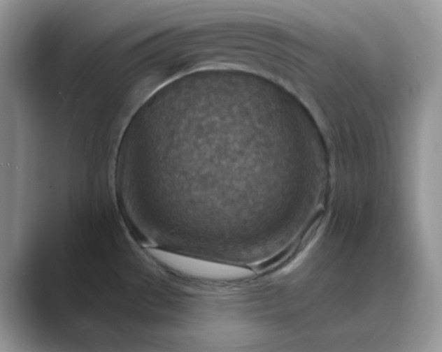 X0000089681529200707051557