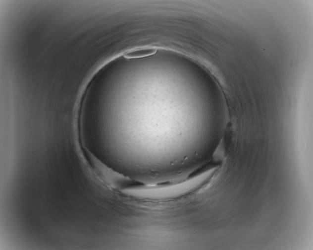 X0000089681530200707051557