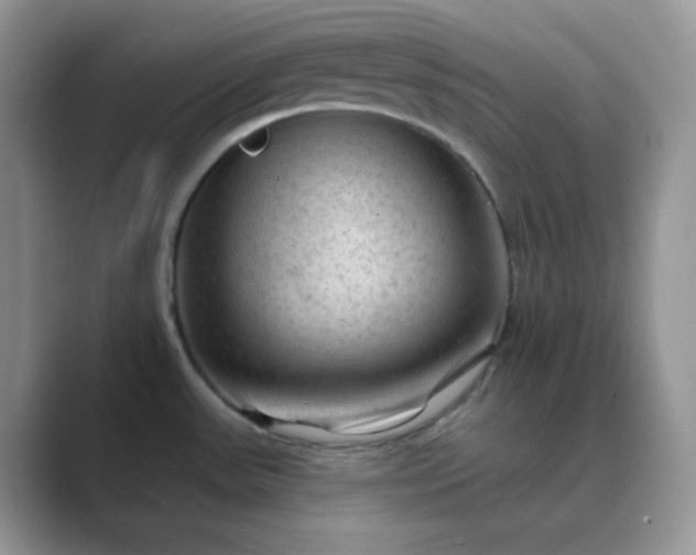 X0000089681531200707051557