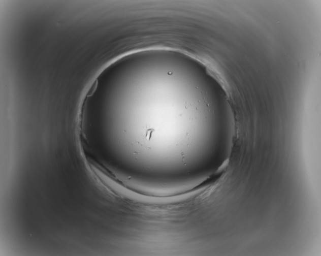 X0000089681532200707051557