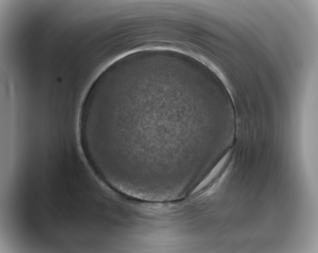 X0000089681533200707051557