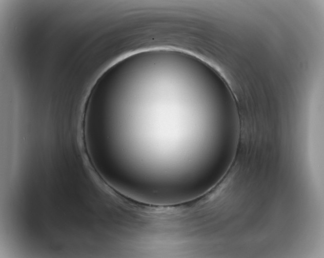 X0000089681534200707051557