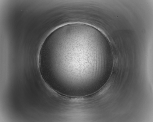 X0000089681535200707051557