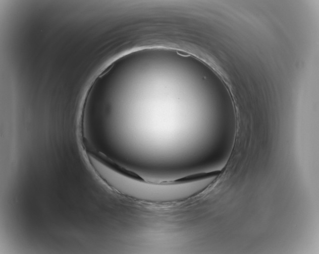 X0000089681536200707051557