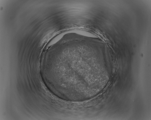 X0000089680002200707121300