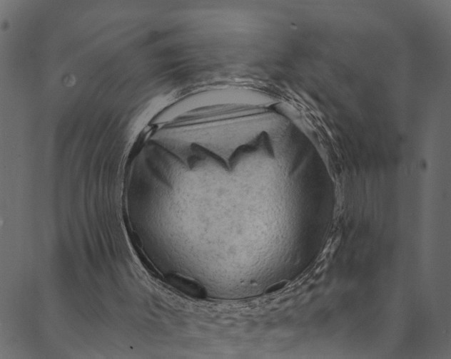 X0000089680003200707121300