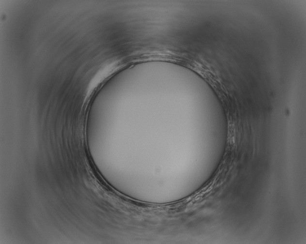 X0000089680004200707121300