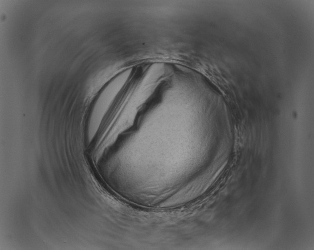 X0000089680005200707121300