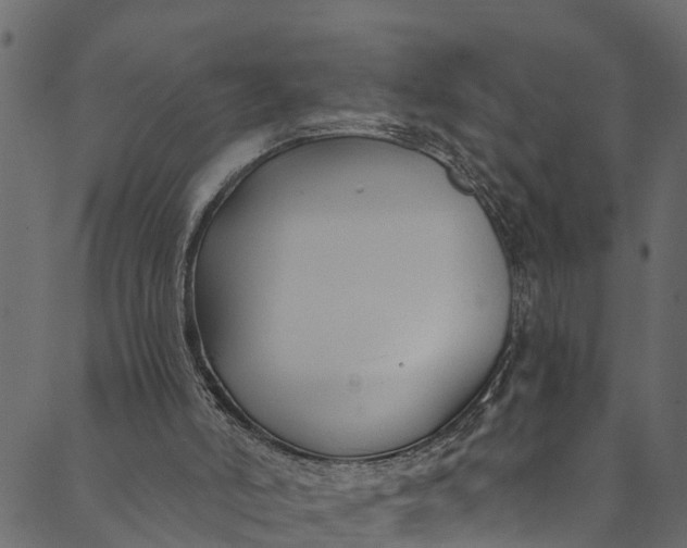 X0000089680006200707121300