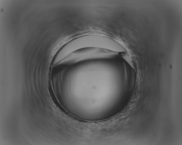 X0000089680007200707121300