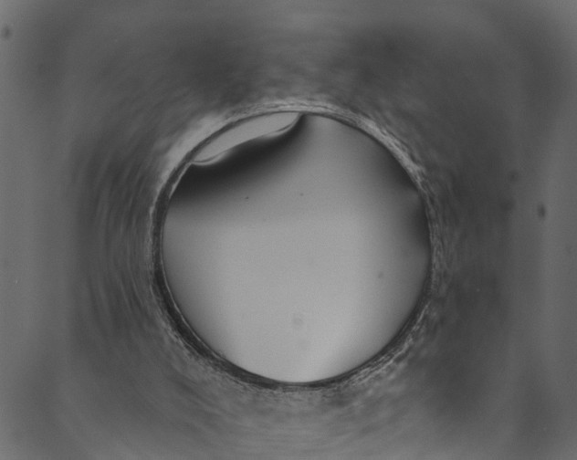 X0000089680008200707121300