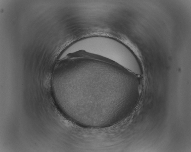 X0000089680009200707121300