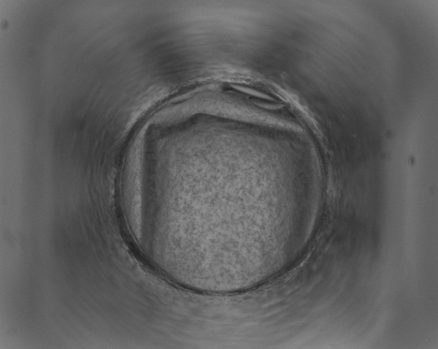 X0000089680010200707121300